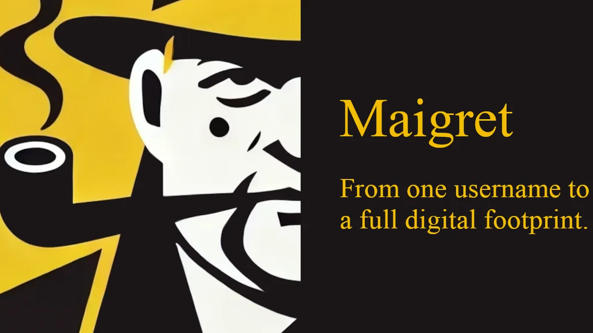 🕵️‍♂️ Collect a dossier on a person by username from 3000+ sites - soxoj/maigret