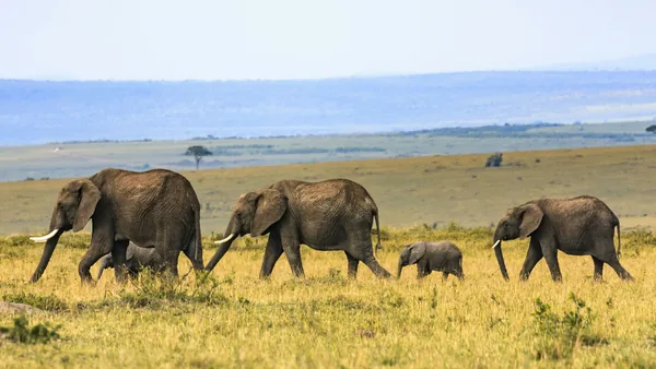 PostgreSQL 19 Beta Introduces SQL Graph Queries and Concurrent Table Repacking