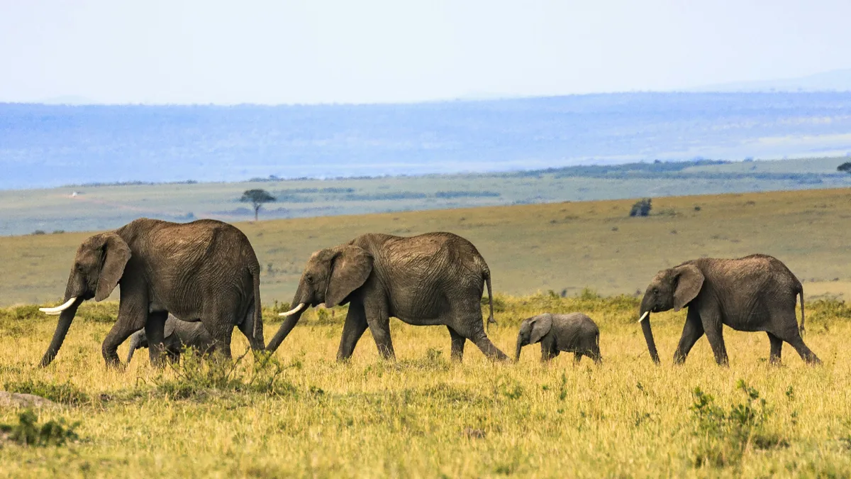 PostgreSQL 19 Beta Introduces SQL Graph Queries and Concurrent Table Repacking